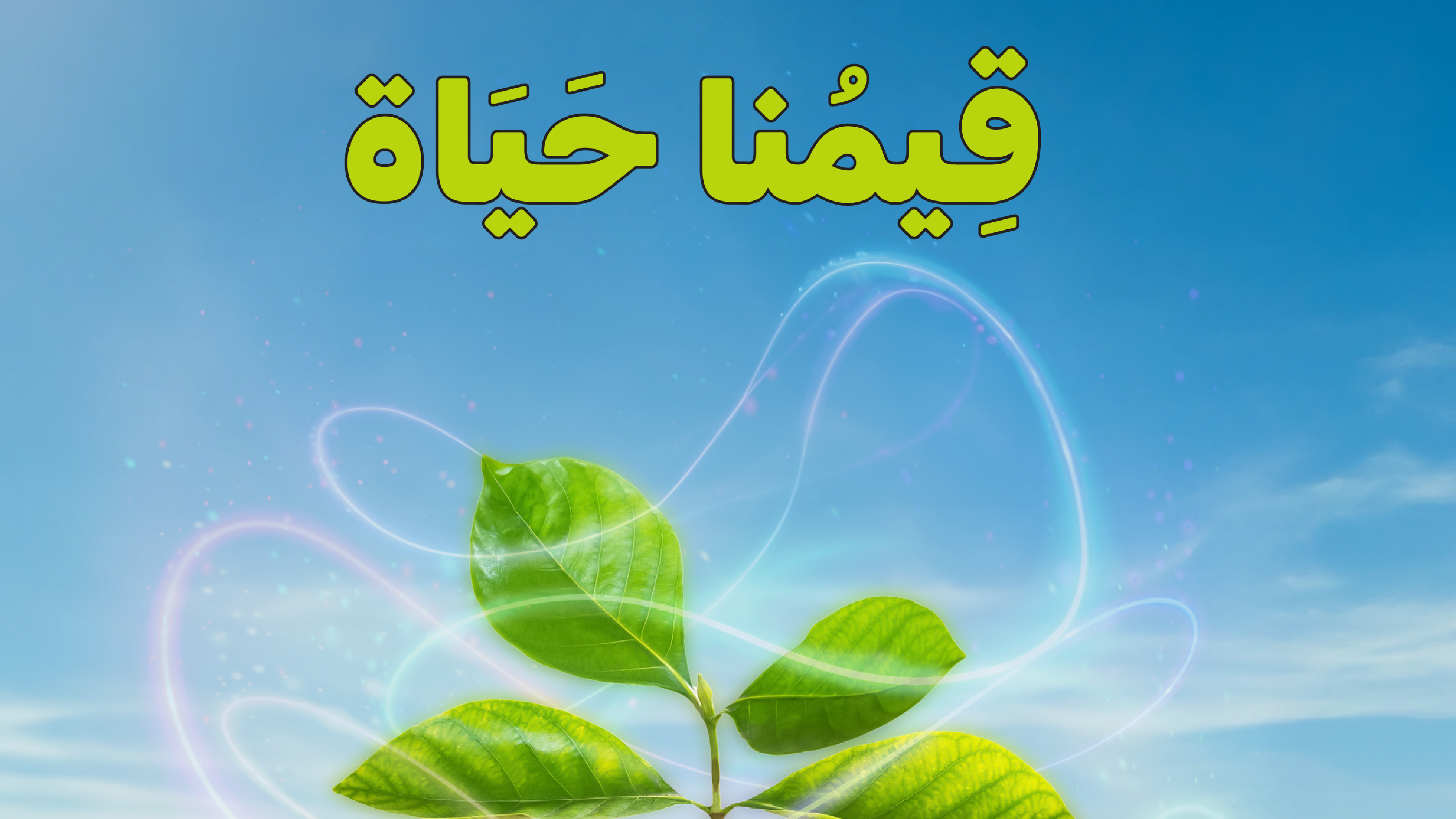 آليات تنفيذ مبادرتي (قيمنا حياة) و (الممارسات الأساسية لتعزيز القيم في اليوم الدراسي)  W044